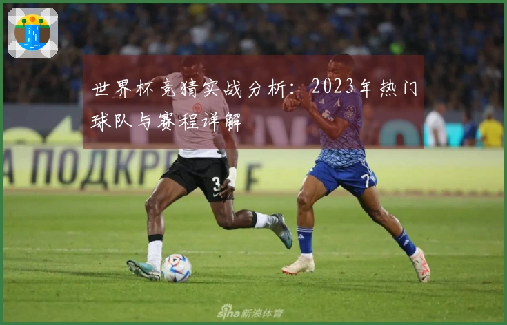 世界杯竞猜实战分析：2023年热门球队与赛程详解