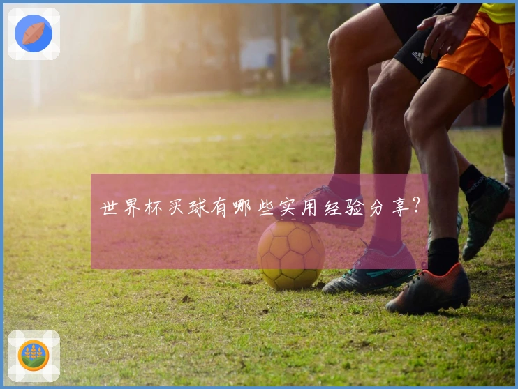 世界杯买球有哪些实用经验分享？