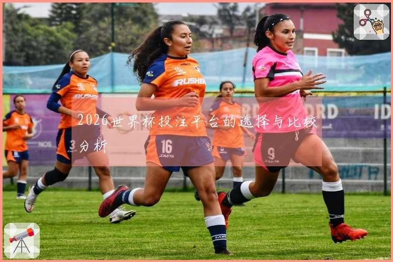 2026世界杯投注平台的选择与比较分析