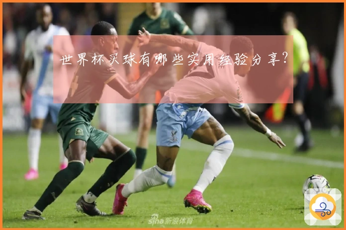 世界杯买球有哪些实用经验分享？