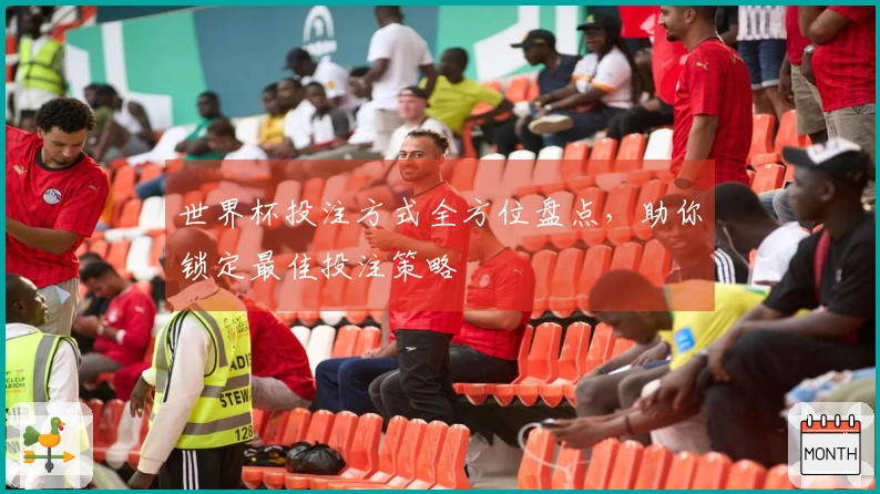 世界杯投注方式全方位盘点，助你锁定最佳投注策略