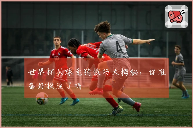 世界杯买球竞猜技巧大揭秘，你准备好投注了吗