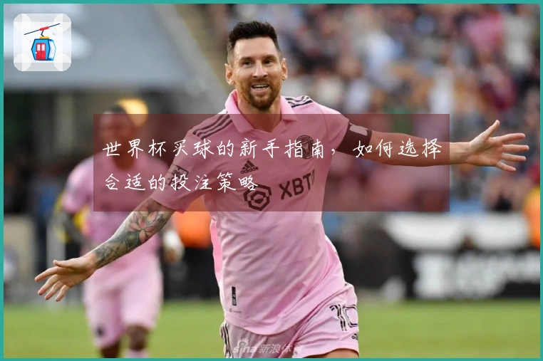 世界杯买球的新手指南，如何选择合适的投注策略