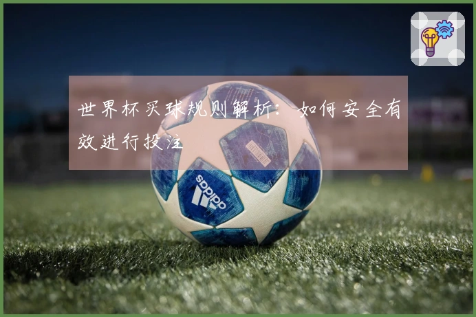 世界杯买球规则解析：如何安全有效进行投注