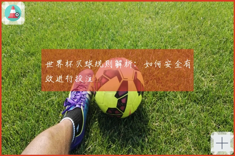 世界杯买球规则解析：如何安全有效进行投注