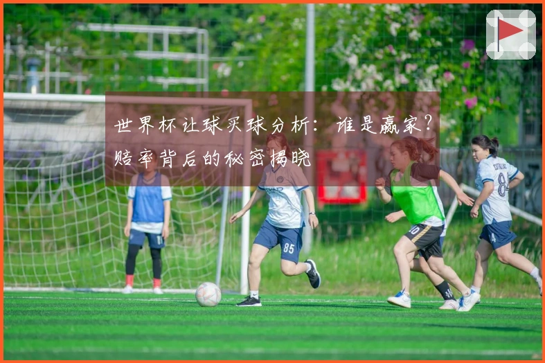 世界杯让球买球分析：谁是赢家？赔率背后的秘密揭晓