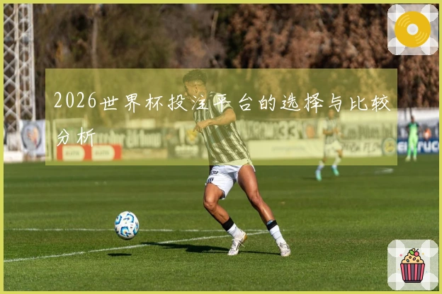 2026世界杯投注平台的选择与比较分析