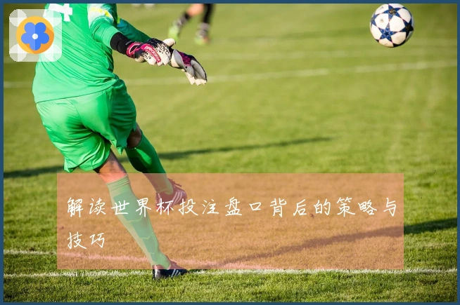 解读世界杯投注盘口背后的策略与技巧