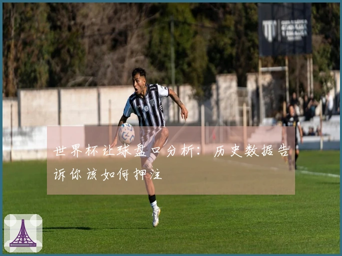世界杯让球盘口分析：历史数据告诉你该如何押注