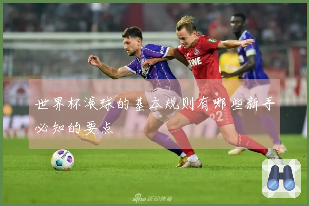 世界杯滚球的基本规则有哪些新手必知的要点