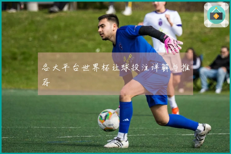 各大平台世界杯让球投注详解与推荐