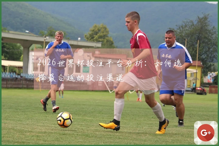 2026世界杯投注平台分析：如何选择最合适的投注渠道